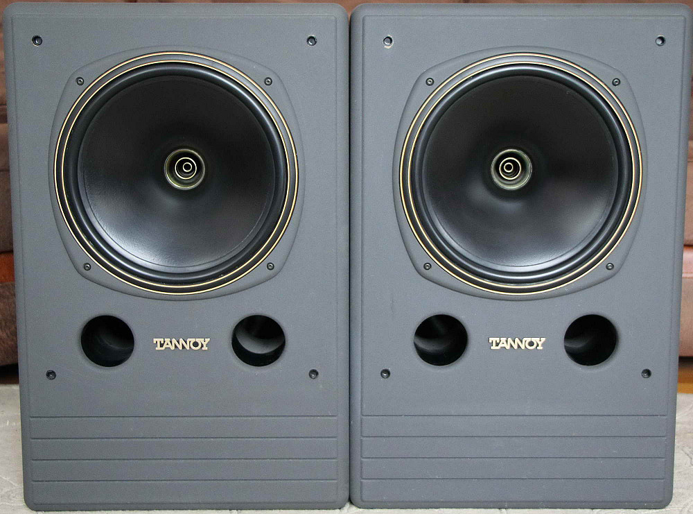 tannoy dmt 12