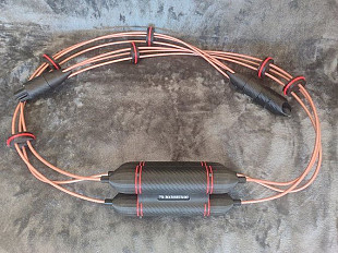 Rick Schultz Audio (RSA) Apparition сетевой кабель 2м!High Fidelity Cables