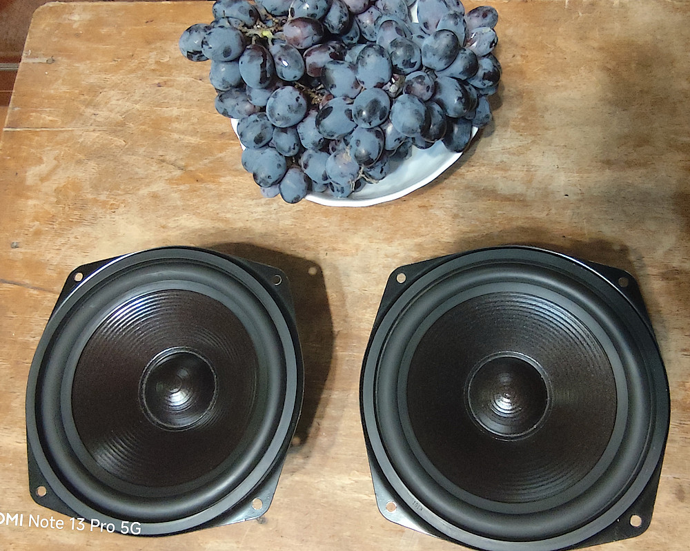 Якісні Hi-Fi НЧ/СЧ-динаміки CORNER (WESTRA KW-160-1338) | RCN.com.ua