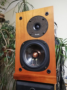 ProAc Response 1SC / TOP Class / England