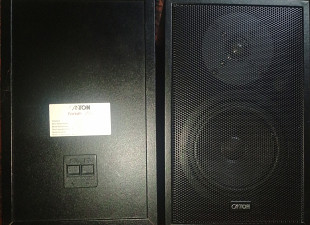 Колонки Canton Fonum 250