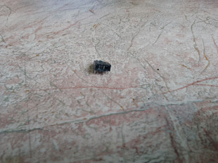 Гнездо для радиоприемник.