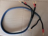 Назва оголошення: AudioQuest CinemaQuest Gibraltar.1 Bi-Wire 0, 3 м — акустичний кабель